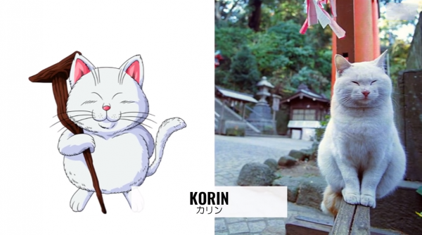 龍珠真人版：現實中的貓仙人長這樣，變成界王需要勇氣