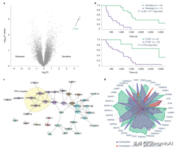 最近3篇蛋白質及其組學知識圖譜Nature子刊文章解決生物核心問題