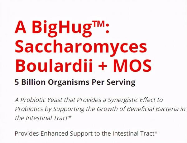 實測換新包裝的進口布拉迪酵母，越換越好還是越換越差？