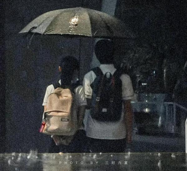 一閃一閃亮星星&Verbar;森林裡北極星指引著方向