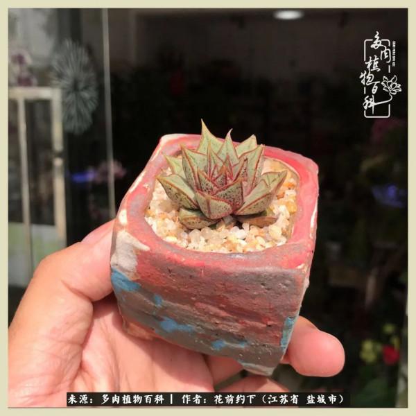 你儘管善良,福報都在路上 你儘管善良,福報都在路上