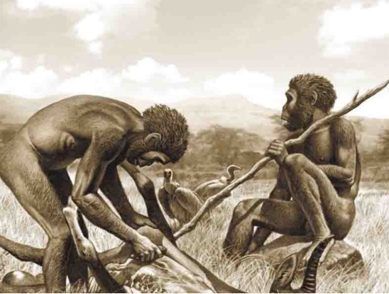 褪去毛髮100萬年後,人類穿上了衣服,是因為害羞? 褪去毛髮100萬年後,人類穿上了衣服,是因為害羞?