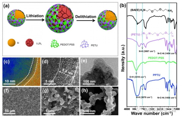 上海大學《ACS Nano》:用於矽負極的導電彈性聚合物粘結劑 上海大學《ACS Nano》:用於矽負極的導電彈性聚合物粘結劑