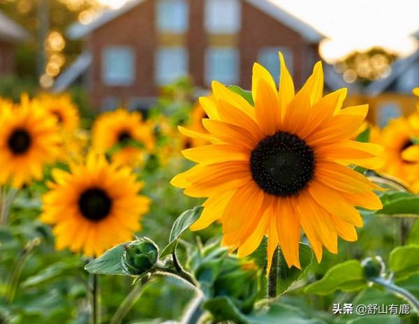 其實,你這一生過得怎樣,都蘊藏在上輩子的“因果”當中 其實,你這一生過得怎樣,都蘊藏在上輩子的“因果”當中