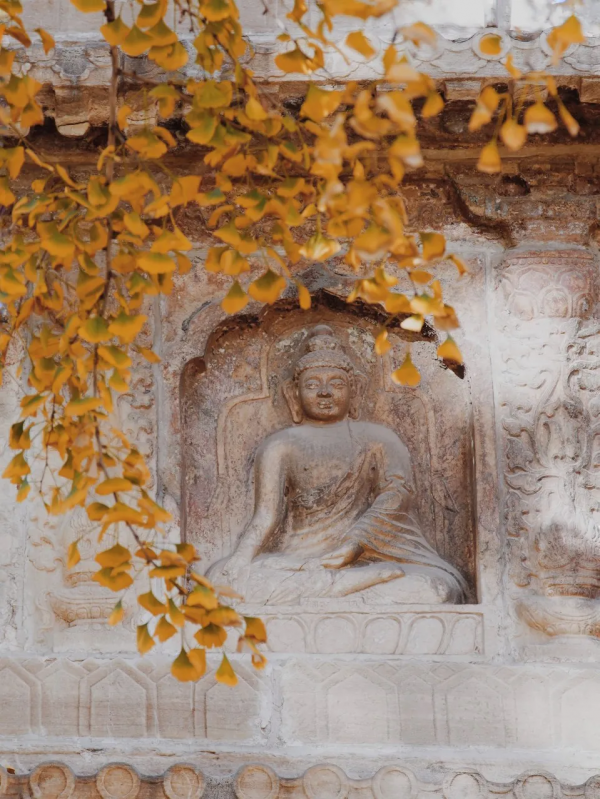 在北京過個秋天，立刻退掉了去騰衝的機票