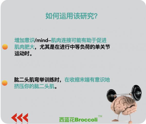 判斷：在肱二頭肌彎舉中，有意識地擠壓肌肉能夠提高肌肉體積嗎？