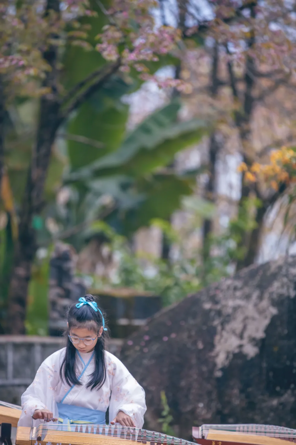 騰衝周邊遊丨冬日遊櫻花谷