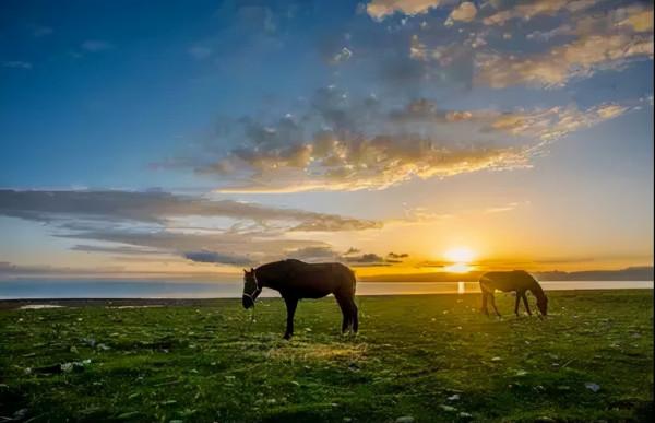 國內浪漫的20個旅行地，如果你們去過一半，那就結婚吧