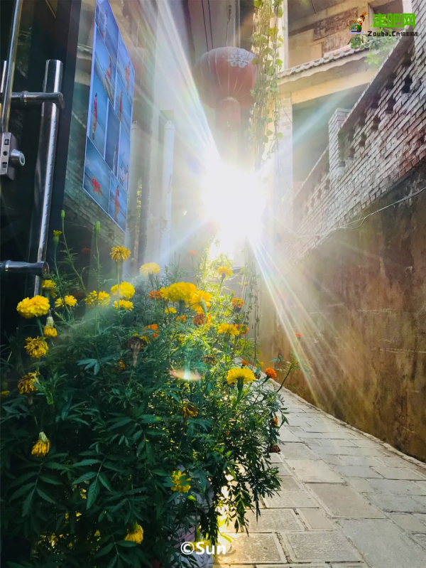 一月最有活力的地方，景色絕美，鮮有人至，值得一去