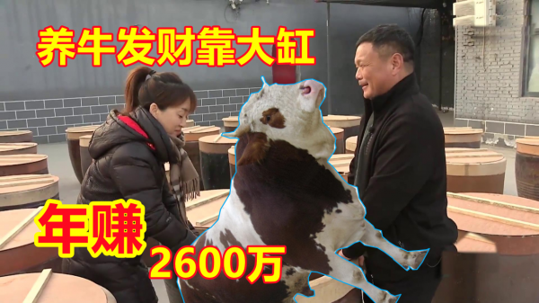 養牛發財靠大缸，他把牛肉裝進大缸裡放7天，牛肉價格升值了一倍