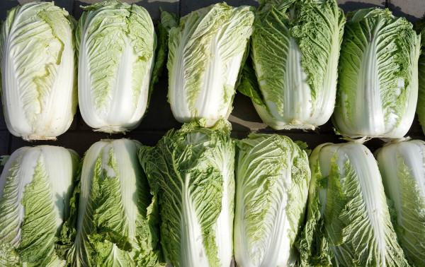 寒潮也沒用，菜價穩中回落！3種蔬菜跌狠了，西紅柿卻一枝獨秀