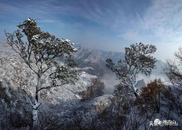 神農山失戀的第54天