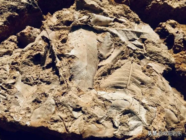 中國最奇特的10個村莊，保留了最本真美麗的模樣，你去過幾個？