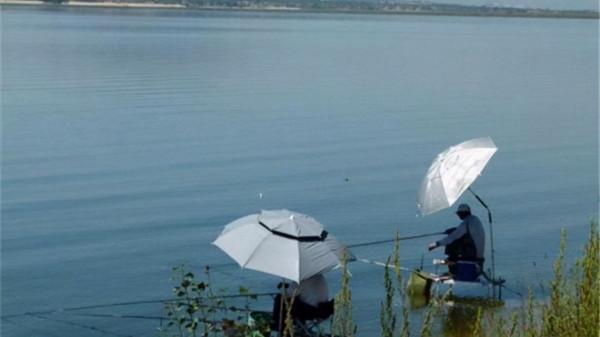 甲魚釣不上來？學會這幾招，隔三差五釣一隻