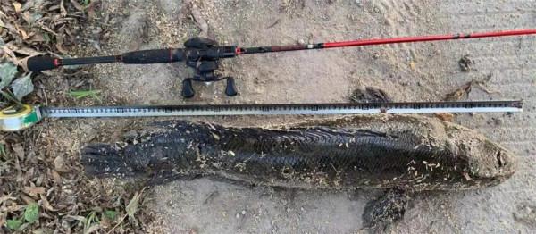 想學路亞,卻不知道從哪入手?看這篇就對了 想學路亞,卻不知道從哪入手?看這篇就對了