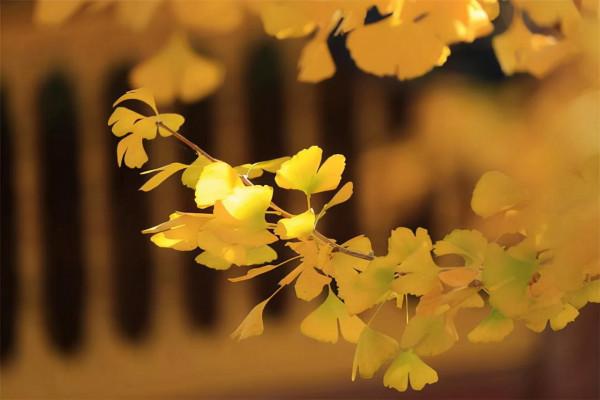 人到中年以後,不管你有錢沒錢,都別讓兩種親戚住在家裡 人到中年以後,不管你有錢沒錢,都別讓兩種親戚住在家裡