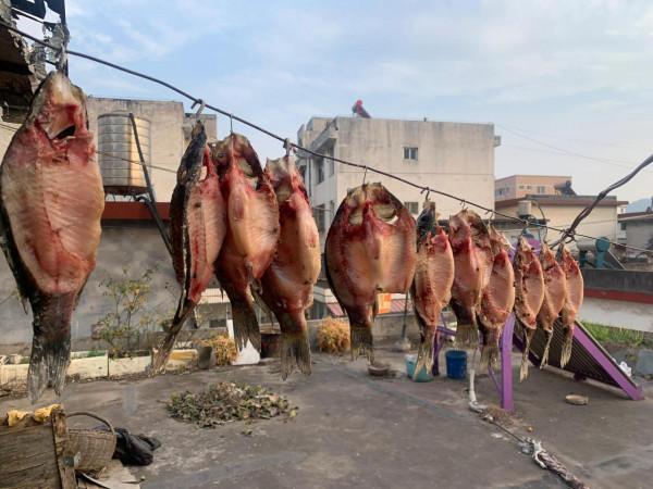 冬日水庫小釣 冬日水庫小釣