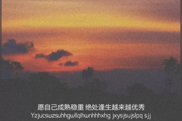 “讓你瞬間沉默的遺憾文案” “讓你瞬間沉默的遺憾文案”