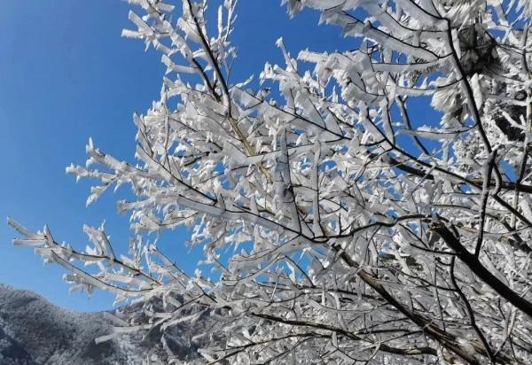 這裡的霧凇，驚豔了西河的冬日時光