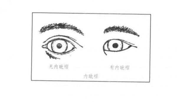 老何偶感：分子人類學只是假說，附會耶教是偽科學