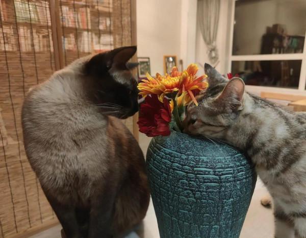 人最大的磨難就是改變