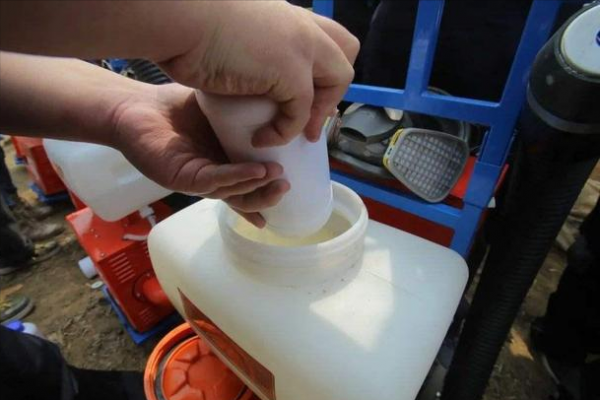 養花就用這4種“高磷肥”,不光生長旺盛,枝葉翠綠,開花更有勁 養花就用這4種“高磷肥”,不光生長旺盛,枝葉翠綠,開花更有勁