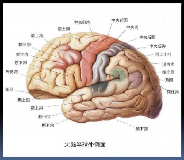人腦只用了3~5%,開發出50%就不得了,這種說法靠譜嗎? 人腦只用了3~5%,開發出50%就不得了,這種說法靠譜嗎?