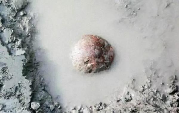 西方關於人類起源於非洲的歷史將被改寫