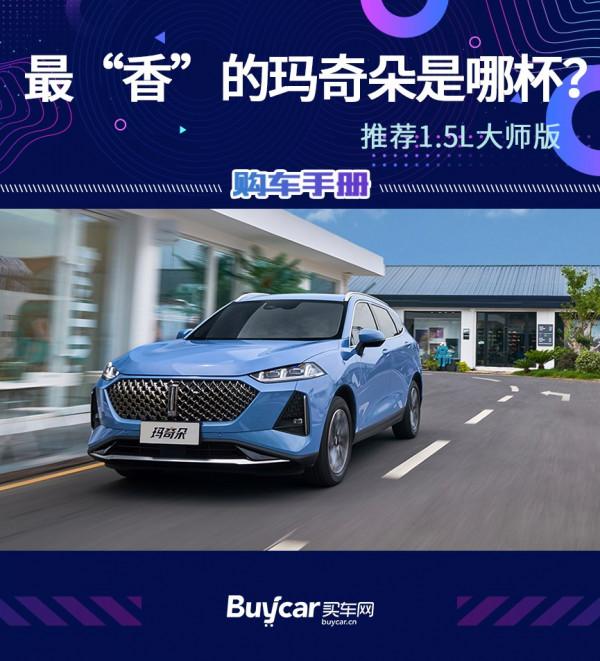 最“香”的瑪奇朵是哪杯?首推大師版——WEY瑪奇朵購車手冊 最“香”的瑪奇朵是哪杯?首推大師版——WEY瑪奇朵購車手冊