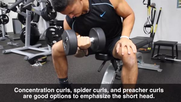 一套最全面高效的「上半身」訓練，胸背肩臂都能練到