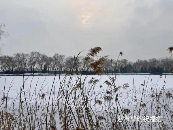 京城冬雪會作畫