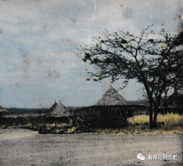 老照片 七十年代的非洲肯亞 非洲第一個野生動物園