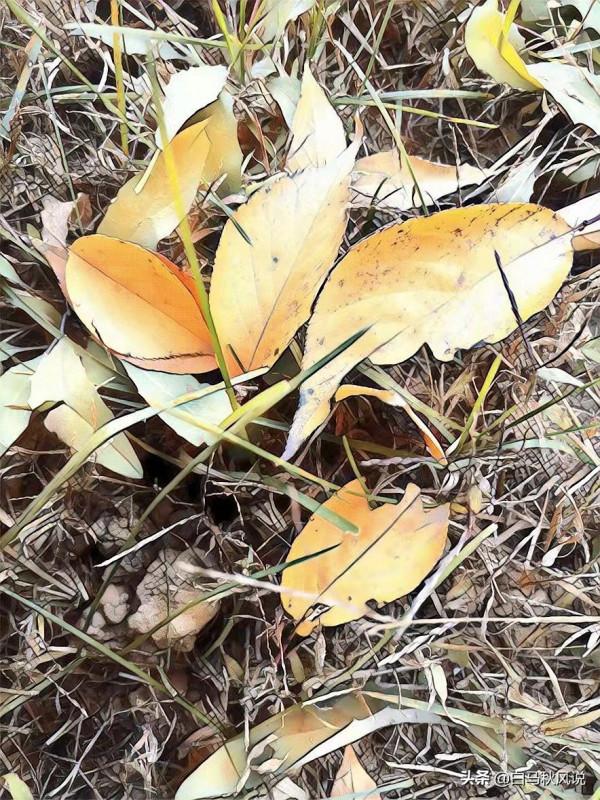 你走，我不送你