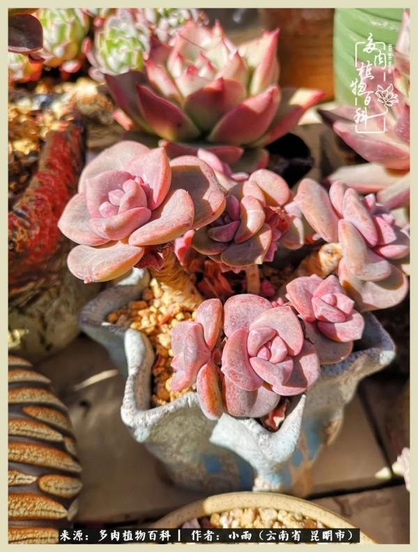 用一份熱愛，溫暖一段時光