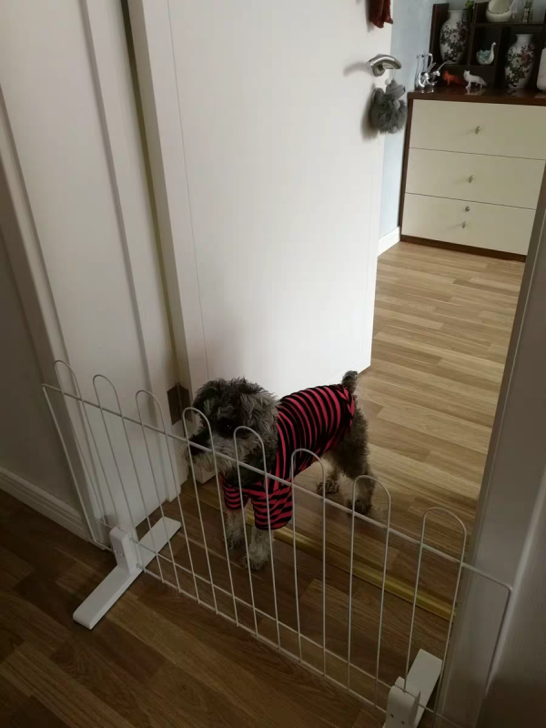 你可能覺得Ta不好看，但Ta溫暖了整個家庭