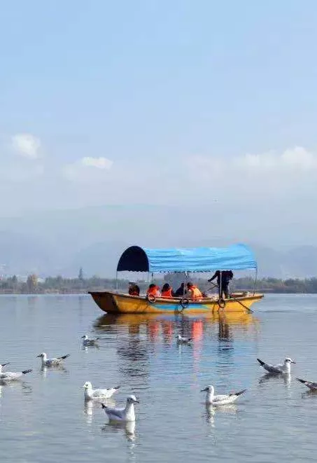 抓住假期的尾巴，來一趟生態遊，放鬆從&OpenCurlyDoubleQuote;森&rdquo;呼吸開始