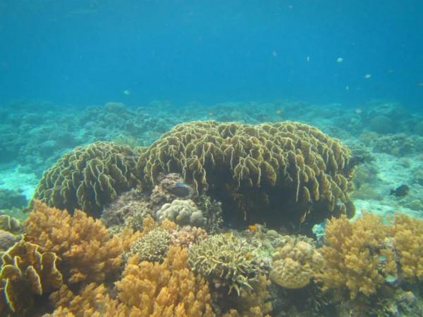 扛著婚紗去旅行之薄荷島篇 扛著婚紗去旅行之薄荷島篇