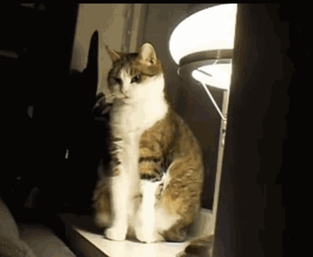 冬日健身計劃——小心保護好自己的身體 冬日健身計劃——小心保護好自己的身體