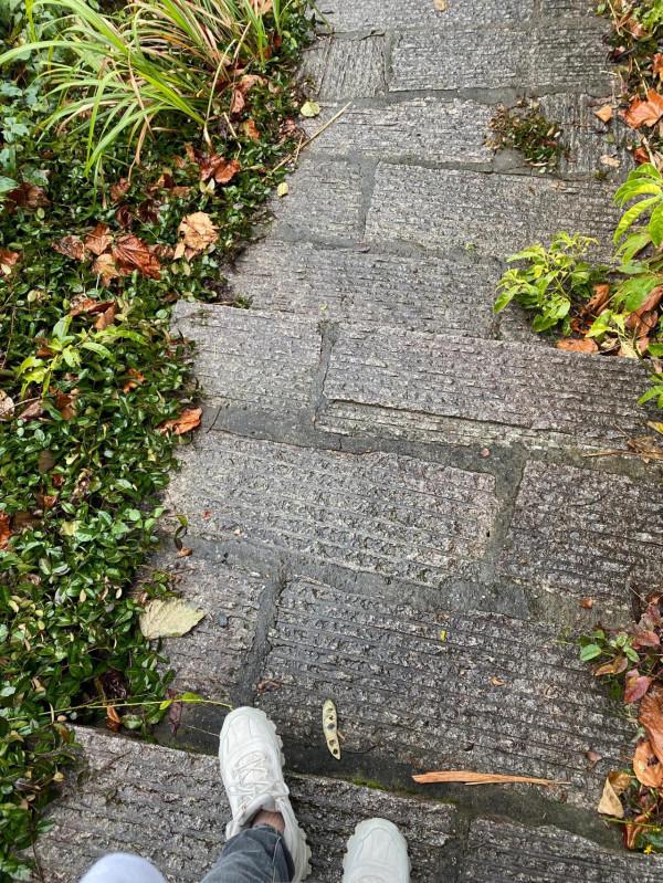 我已成仙 快樂一天