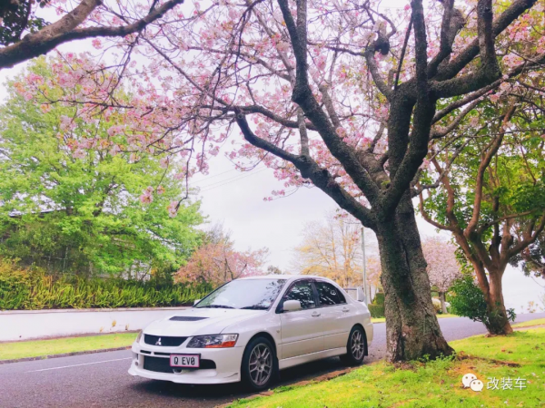 小姐姐連續擁有兩臺";街霸";EVO,完美詮釋何為巾幗不讓鬚眉 小姐姐連續擁有兩臺";街霸";EVO,完美詮釋何為巾幗不讓鬚眉