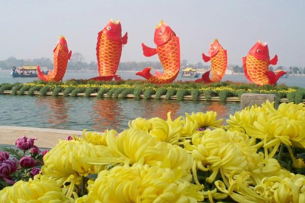 免費送釣魚主線