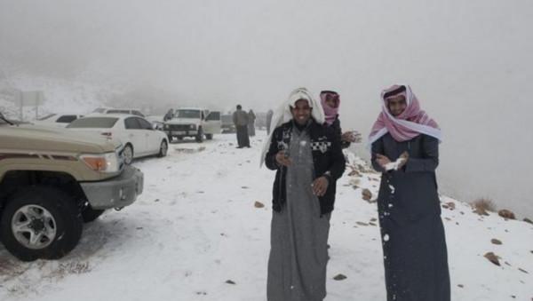 希臘下雪導致上萬條魚被凍死，我國東北零下幾十度，為何魚沒事？