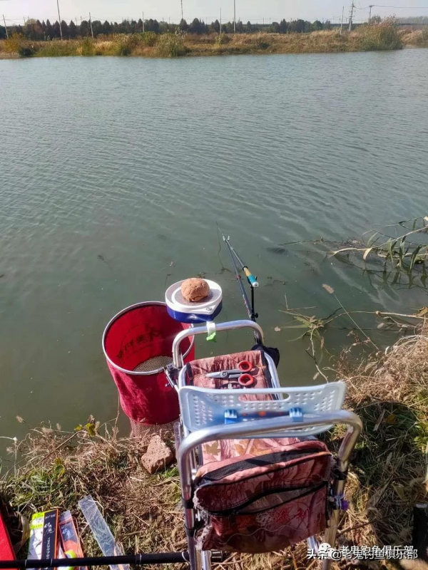 首試老鬼新品鮮蚯蚓·拉，大小通殺，乃神餌也