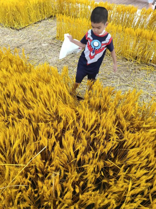 沐沐日記368——幼兒園篇