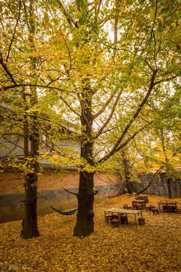 今年最想去的24條線路,與國內最極致的風光邂逅,你都去過幾條? 今年最想去的24條線路,與國內最極致的風光邂逅,你都去過幾條?