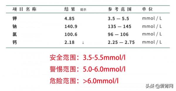 低鉀食物大全,腎衰竭及透析患者必備 低鉀食物大全,腎衰竭及透析患者必備