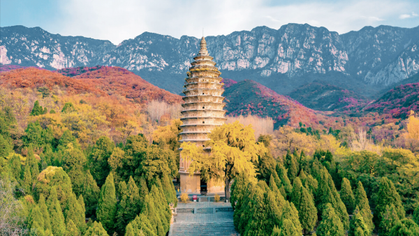 河南有825座古塔，號稱全國最多。朋友，你家鄉的古塔還在嗎？