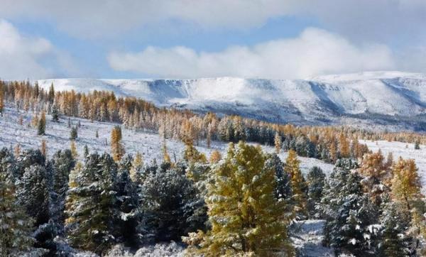 蘇聯飛行員劫機逃亡中國,入獄8年,刑滿釋放才發現:祖國沒了 蘇聯飛行員劫機逃亡中國,入獄8年,刑滿釋放才發現:祖國沒了