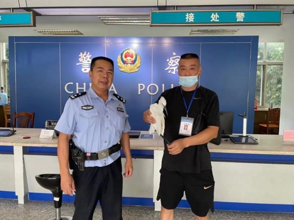 遇見這隻“大白鵝”可千萬別亂來! 遇見這隻“大白鵝”可千萬別亂來!