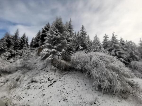 九寨溝的第一場雪 晶瑩剔透 恍若進入了童話世界
